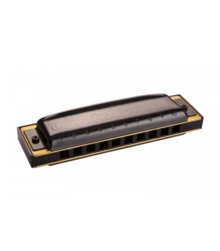 Harmonica Hohner Pro Harp en G