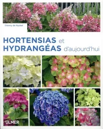 Hortensias et hydrangéas d&rsquo;aujourd&rsquo;hui