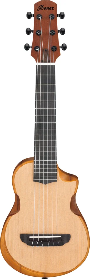 IBANEZ AUP10N-OPN Natural