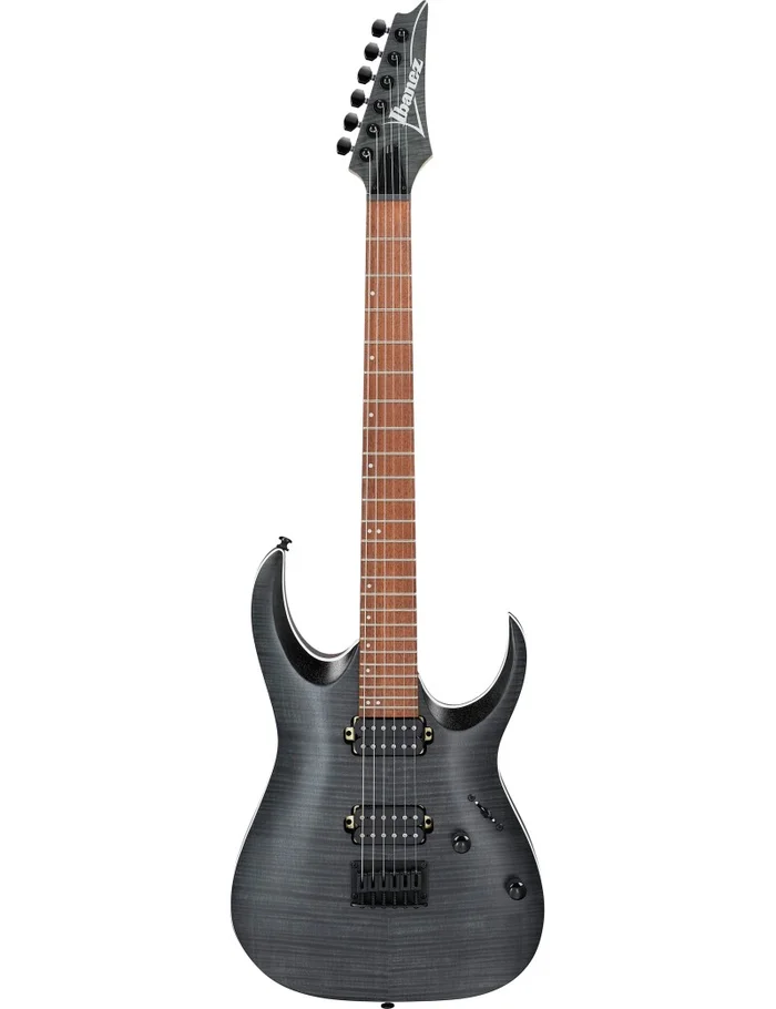Ibanez RGA42-FM-TGF transparent gray flat