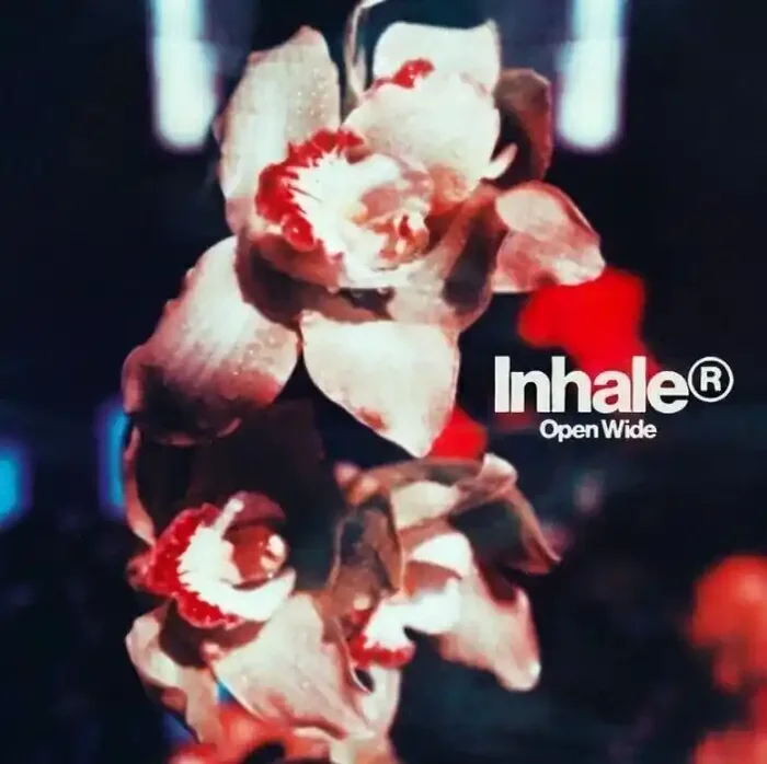 Inhaler – Open Wide (CD)