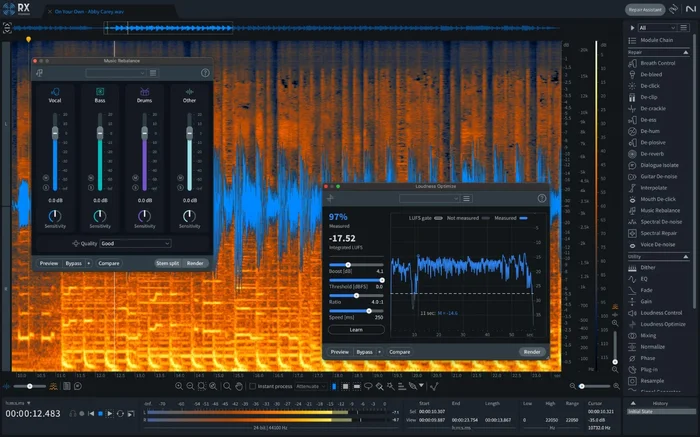 IZOTOPE RX 11 Standard