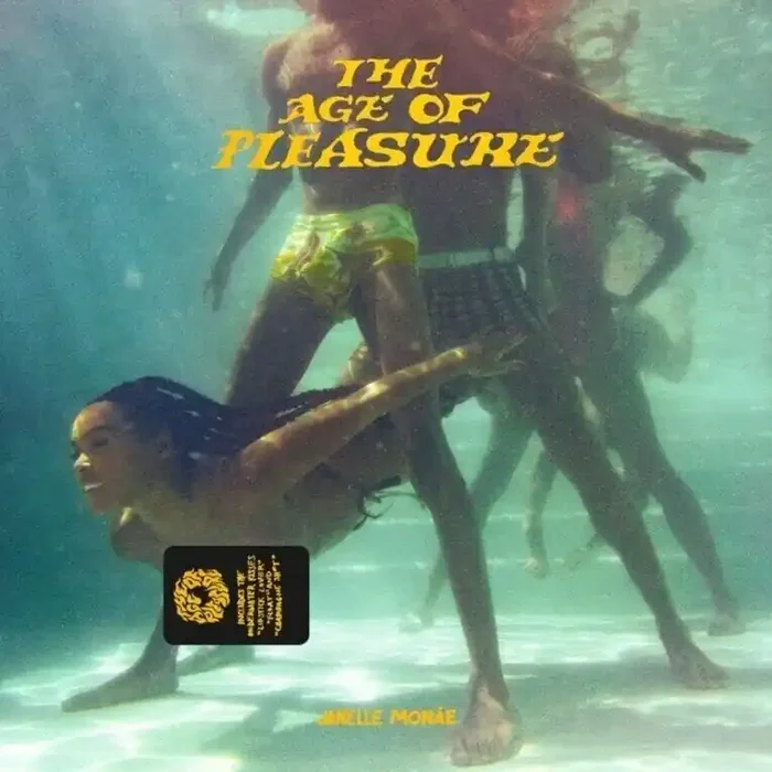 Janelle Monae – The Age Of Pleasure (CD)