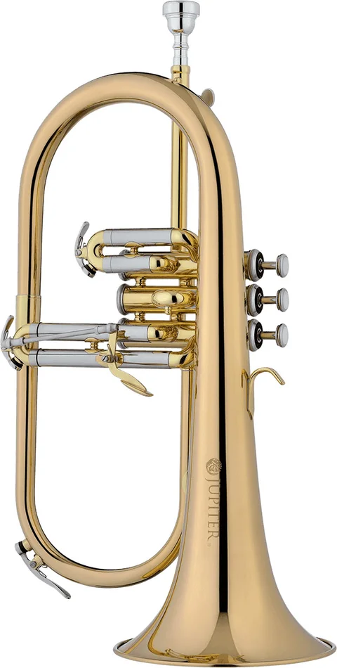 JUPITER 1100RQ – Sib Verni + Pav. Cuivre Rose