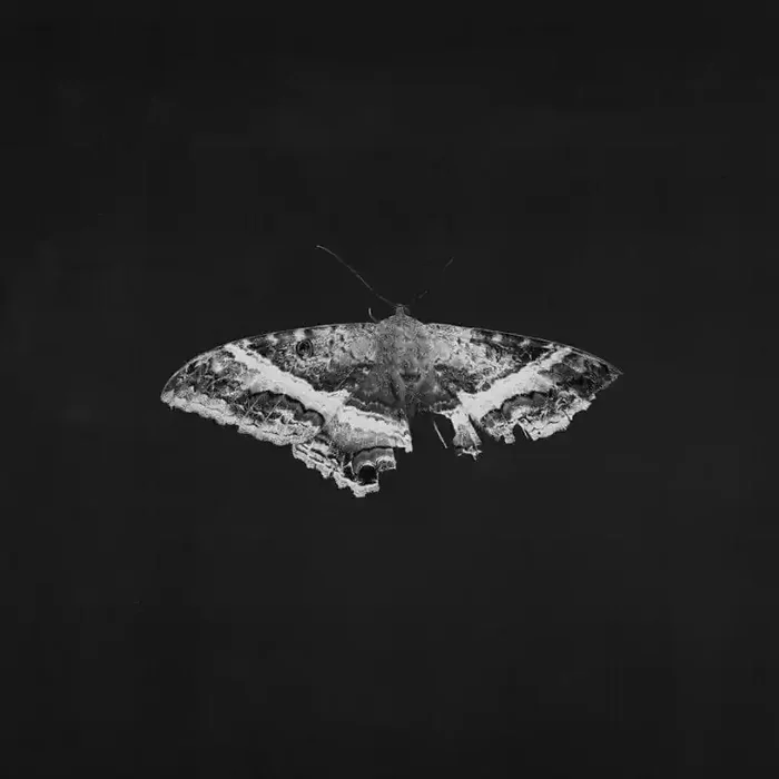 Kendrick Lamar – To Pimp A Butterfly (Anniversary Edition) (Indie Exclusive) (Metallic Blends Coloured) (Limited Edition) (2 LP)