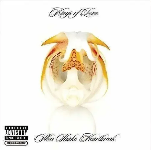 Kings of Leon – Aha Shake Heartbreak (2 LP)