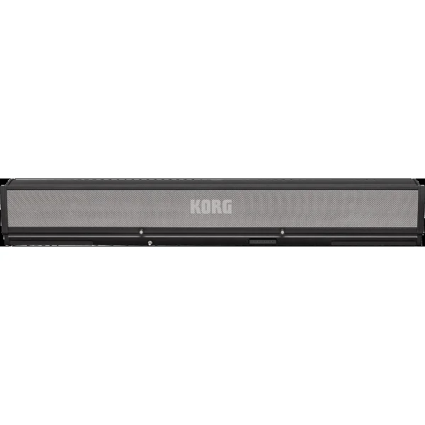 Korg PAAS MK2