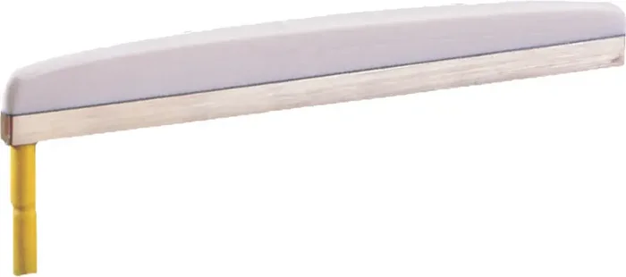 L.R. Baggs LB6 Micro guitare acoustique