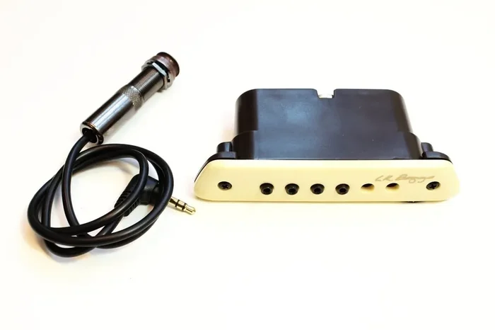 L.R. Baggs M1A Micro guitare acoustique
