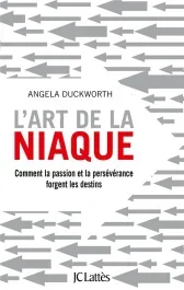 L&rsquo;art de la niaque