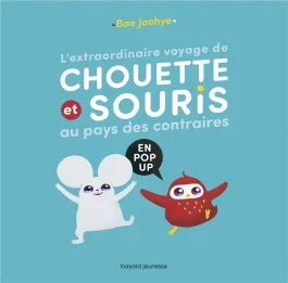 L&rsquo;extraordinaire voyage de Chouette et Souris au pays des contraires. En pop-up