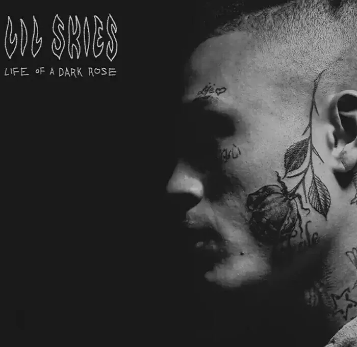 Lil Skies – Life Of A Dark Rose (LP)