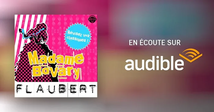 Madame Bovary. Explication de texte