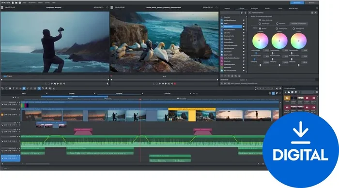 MAGIX Video Pro X 365 (12 Mth Sub) (Produit numérique)