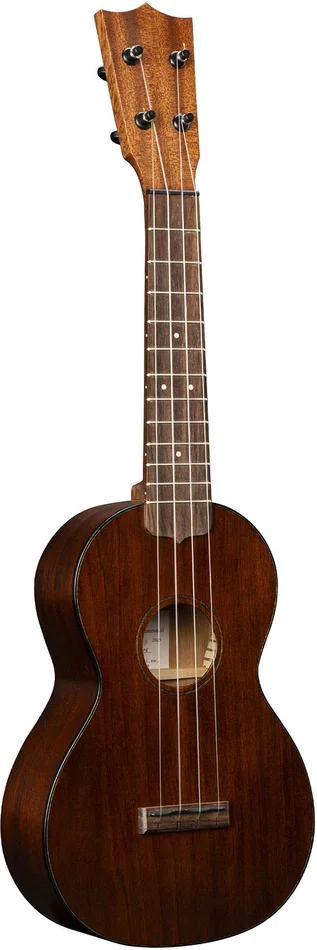 Martin Guitar Ukulele Centennial Concert