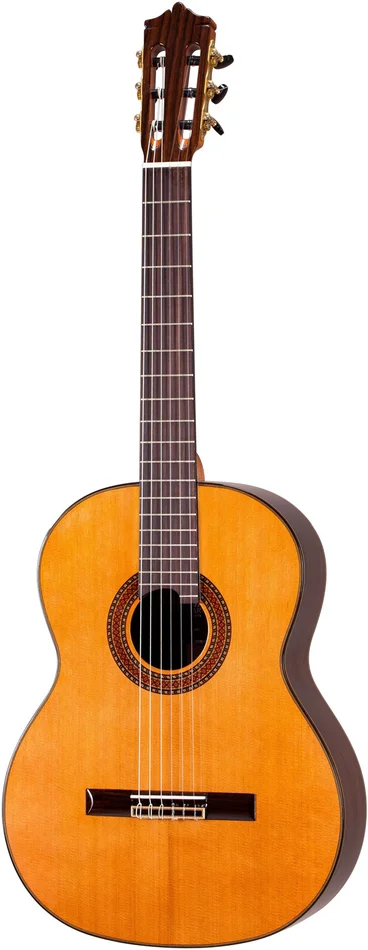 MARTINEZ GUITARS Standard MC-88C RN Naturel + Housse