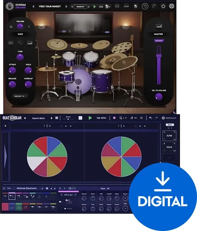 Modalics Groove Mastery Bundle (Produit numérique)
