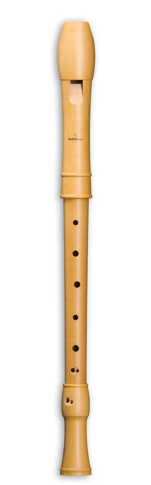 MOLLENHAUER Canta Alto 2206 – Poirier (doigté Baroque)