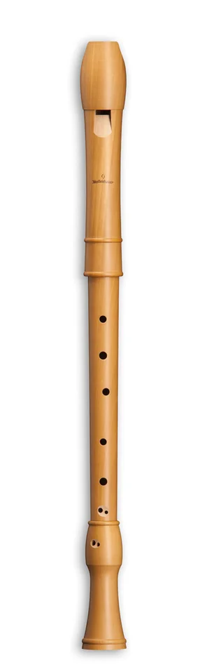 MOLLENHAUER Canta Ténor 2406 – Poirier (doigté Baroque)