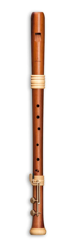 MOLLENHAUER Édition Rêve Ténor TE-4428 – Prunier (doigté Baroque)