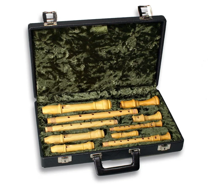 MOLLENHAUER Etui 7300 – Sopranino/soprano/alto/ténor