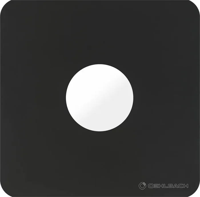 Oehlbach 2617 Pochettes LP 1