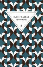 Opium Poppy