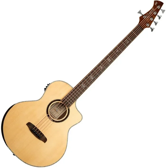 Ortega KTSM2-5 Basse acoustique