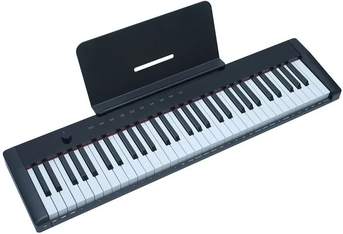 Pearl River M2 Clavier dynamique Black