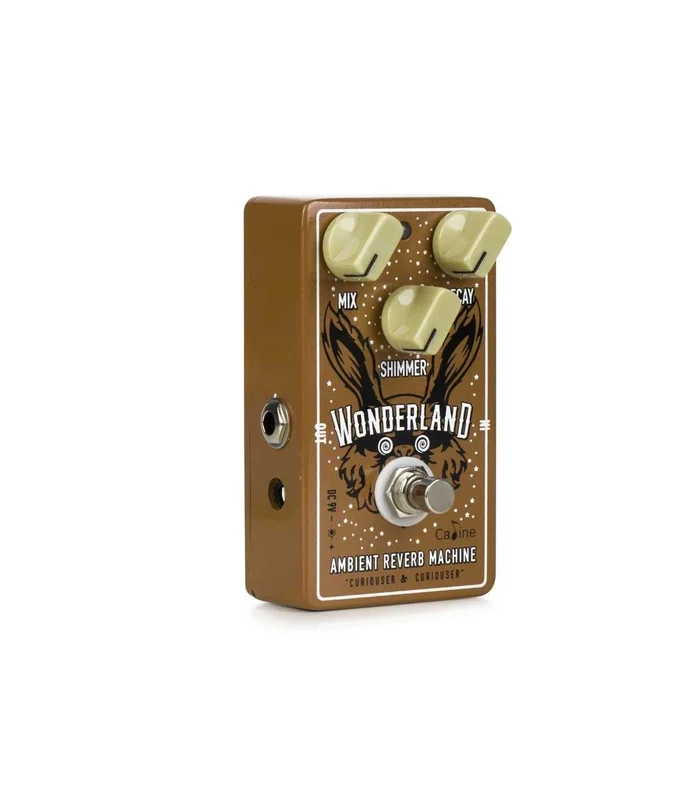 Pédale d’Effet Caline CP-508 : “Wonderland” Ambient REVERB – Image 2