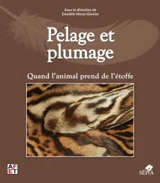 Pelage et plumage. Quand l&rsquo;animal prend de l&rsquo;étoffe