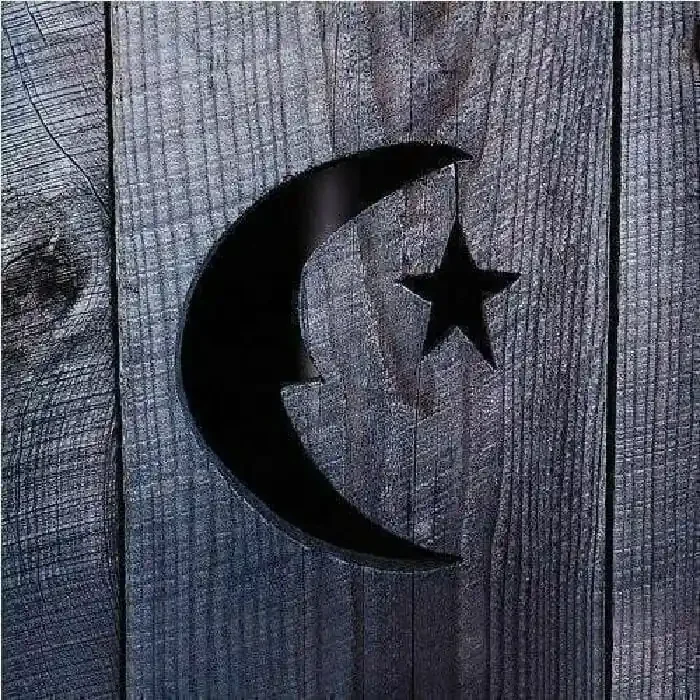 Phish – Farmhouse Stars so Bright (Random Coloured) (2 LP)