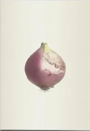 Plantes potagères. Cahier végétal