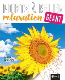 Points à relier relaxation géant