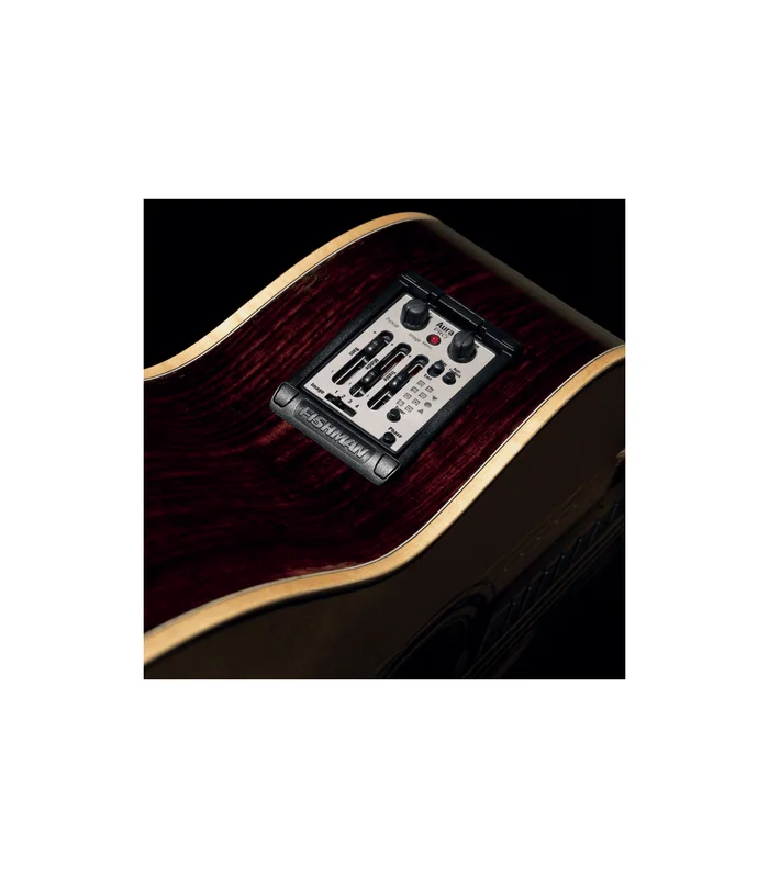 Pré-Ampli pour Guitare Acoustique FISHMAN – PRO-MAT-P81 – AURA – Aura Pro format large – Image 2