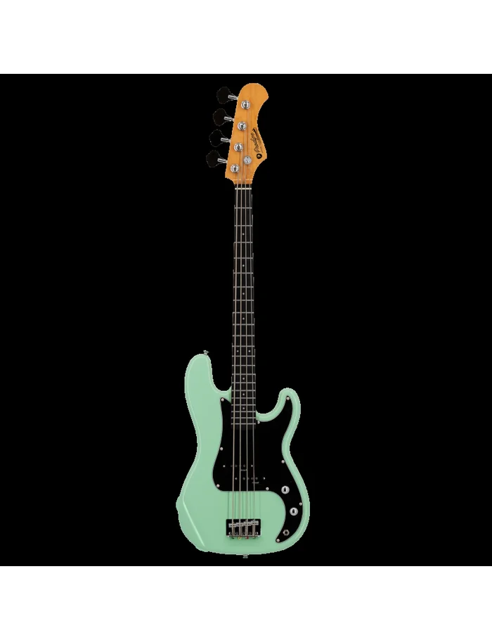 Prodipe PB Junior SG surf green + housse