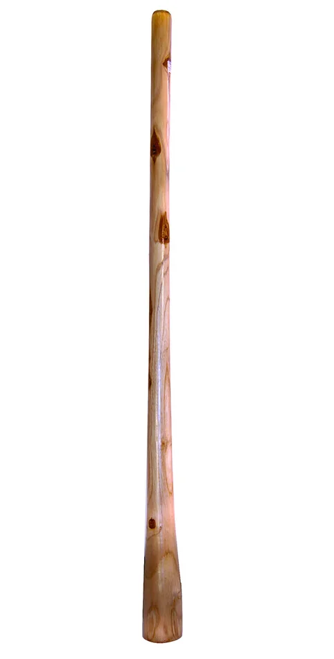 ROOTS PERCUSSION R-DT01 – Didgeridoo Teck Naturel 150 CM