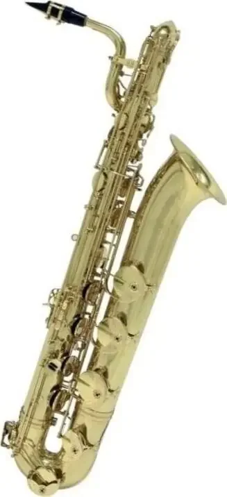 Roy Benson BS-302 Saxophones