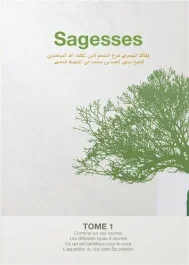 Sagesses. Tome 1, L&rsquo;éveil des aspirations spirituelles