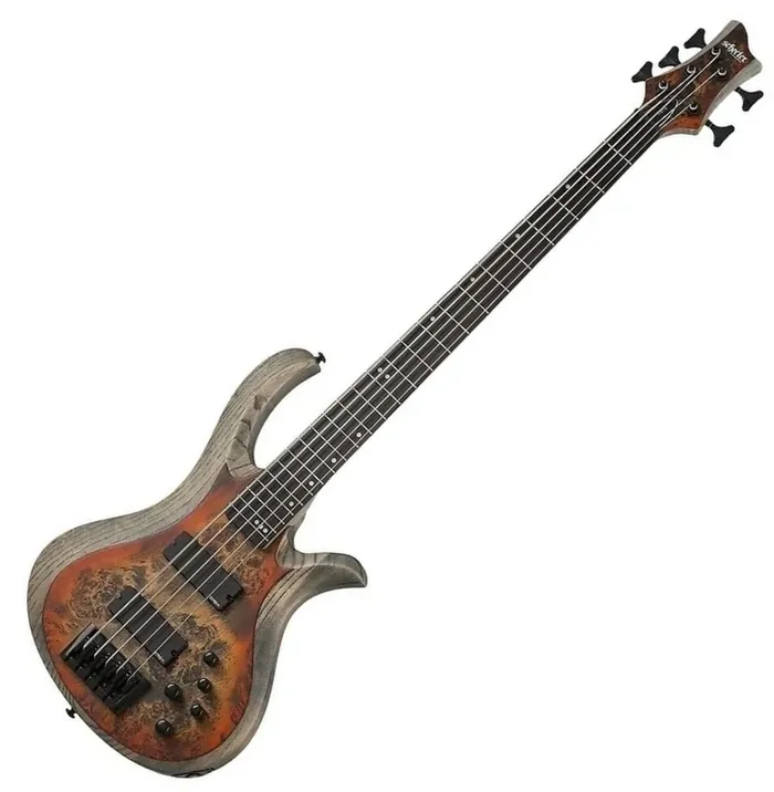 Schecter Riot-5 Inferno Burst Basse 5 cordes
