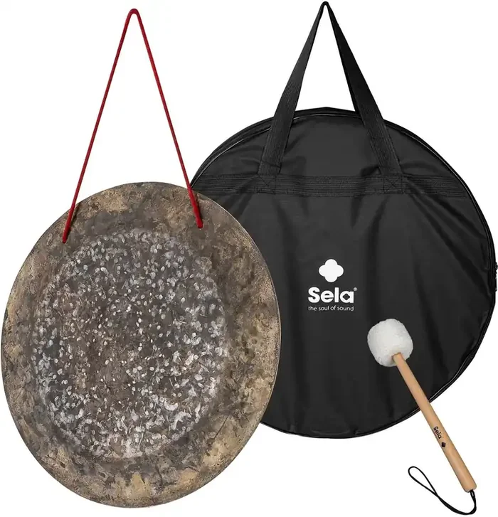 Sela Wind Dark Moon Gong 20″