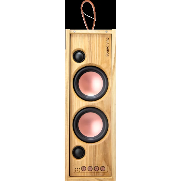 Soundivine THE BOTTLE – Image 2