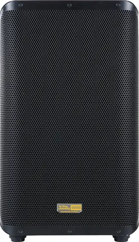 Soundking Y10P Enceinte active