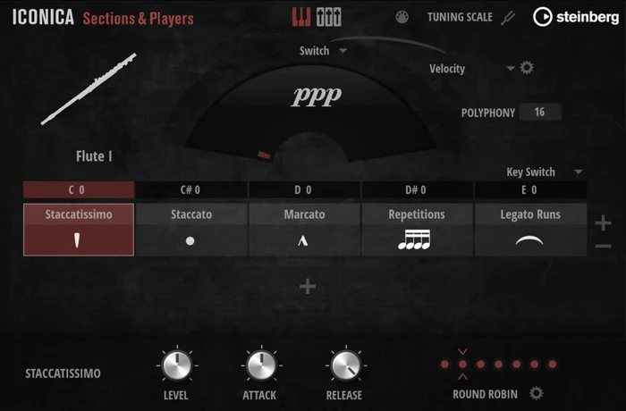 STEINBERG Iconica Sections & Players