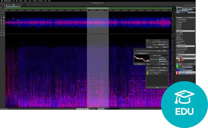 Steinberg SpectraLayers Pro 12 Education (Produit numérique)