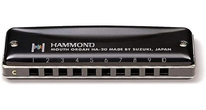 SUZUKI Hammond B/si – 10 Trous