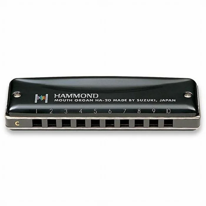 SUZUKI Hammond C/do – 10 Trous