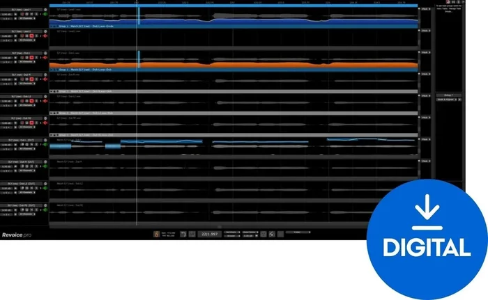Synchro Arts Revoice Pro 5 Crossgrade (Produit numérique)