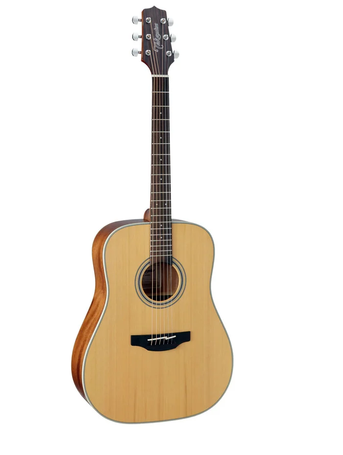 Takamine GD20-NS Natural Satin