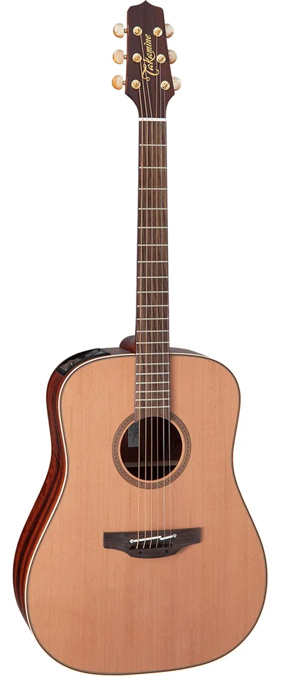 Takamine Japon Limited FN15ar Dreadnought